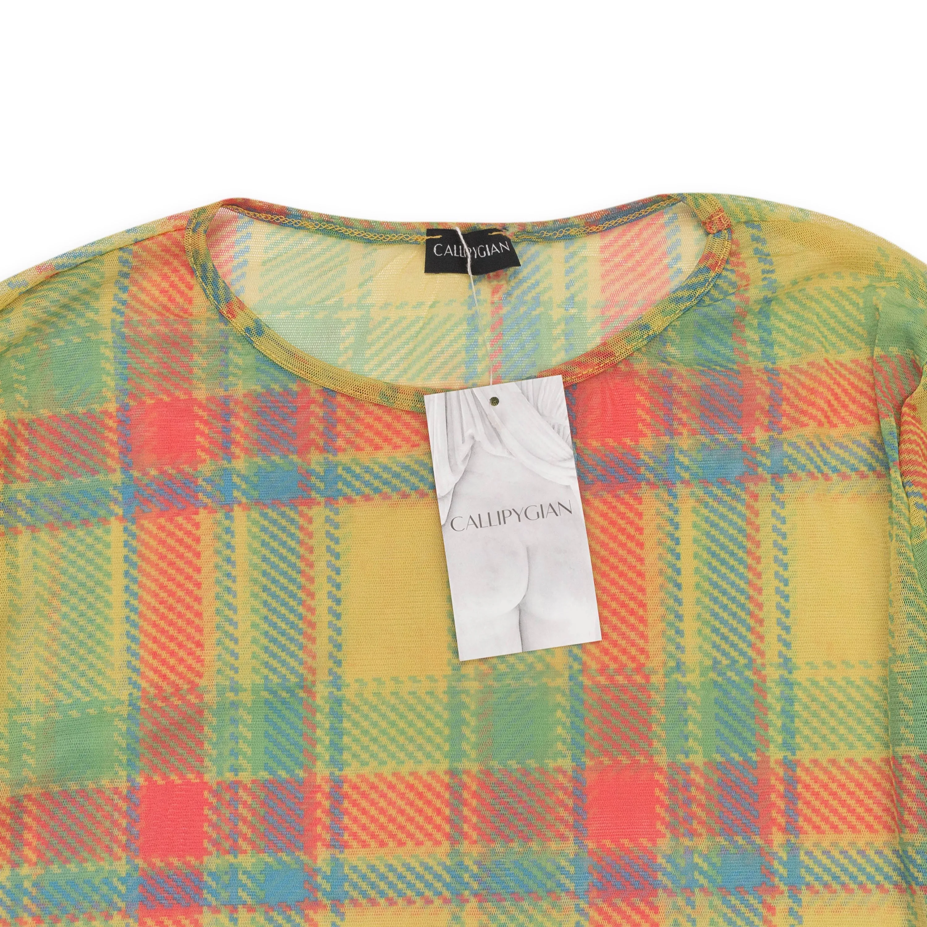CALLIPYGIAN PLAID LONG SLEEVE MESH CREWNECK MULTICOLOR SWEATER